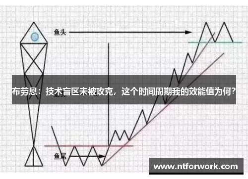 布劳恩：技术盲区未被攻克，这个时间周期我的效能值为何？